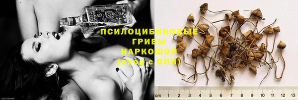 apvp Заводоуковск