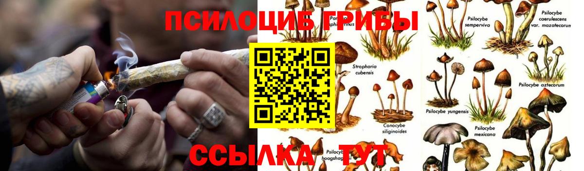 Галлюциногенные грибы мицелий Карасук