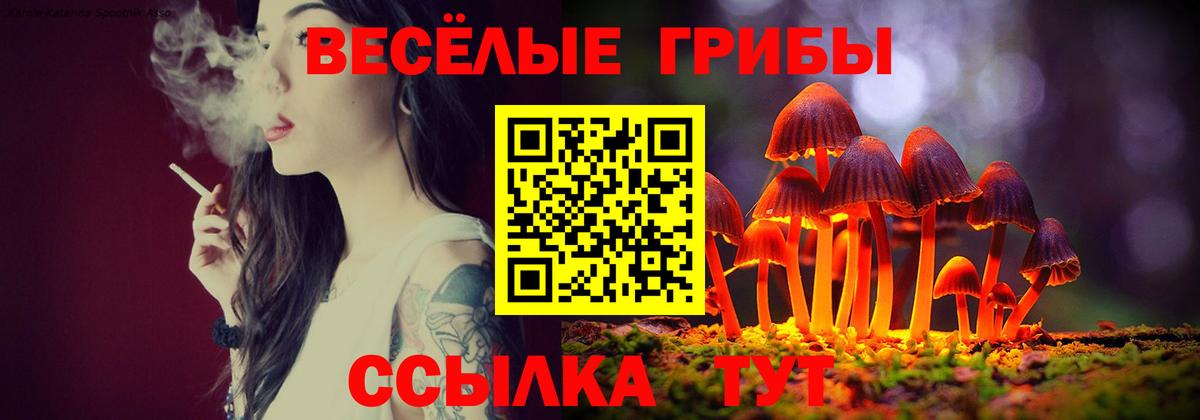 Карасук  Галлюциногенные грибы ЛСД  магазин продажи наркотиков  Вход с VPN 